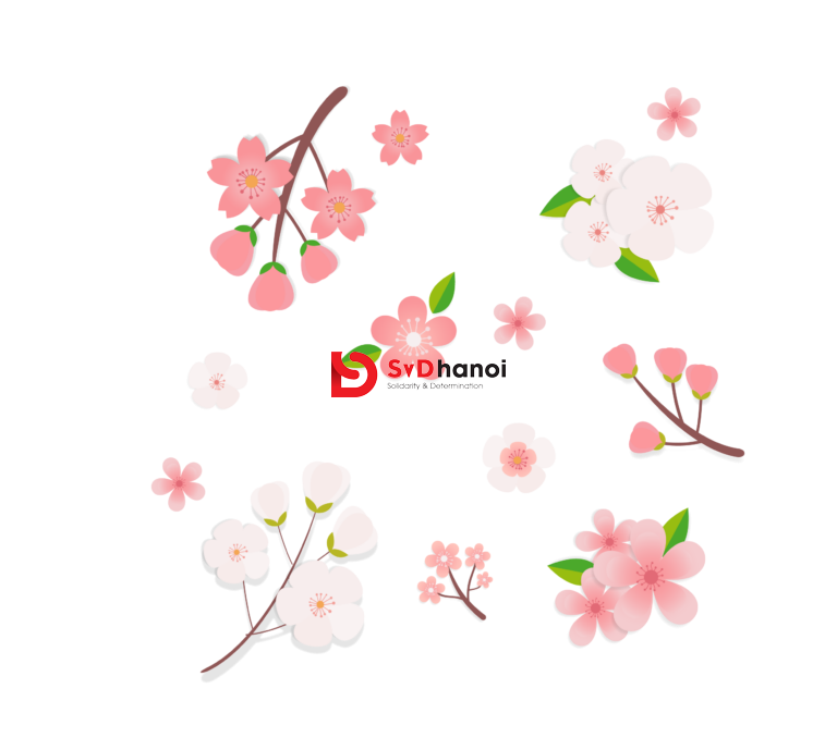 Link tải 100+ ảnh Hoa đào vector, PSD, PNG mới nhất miễn phí