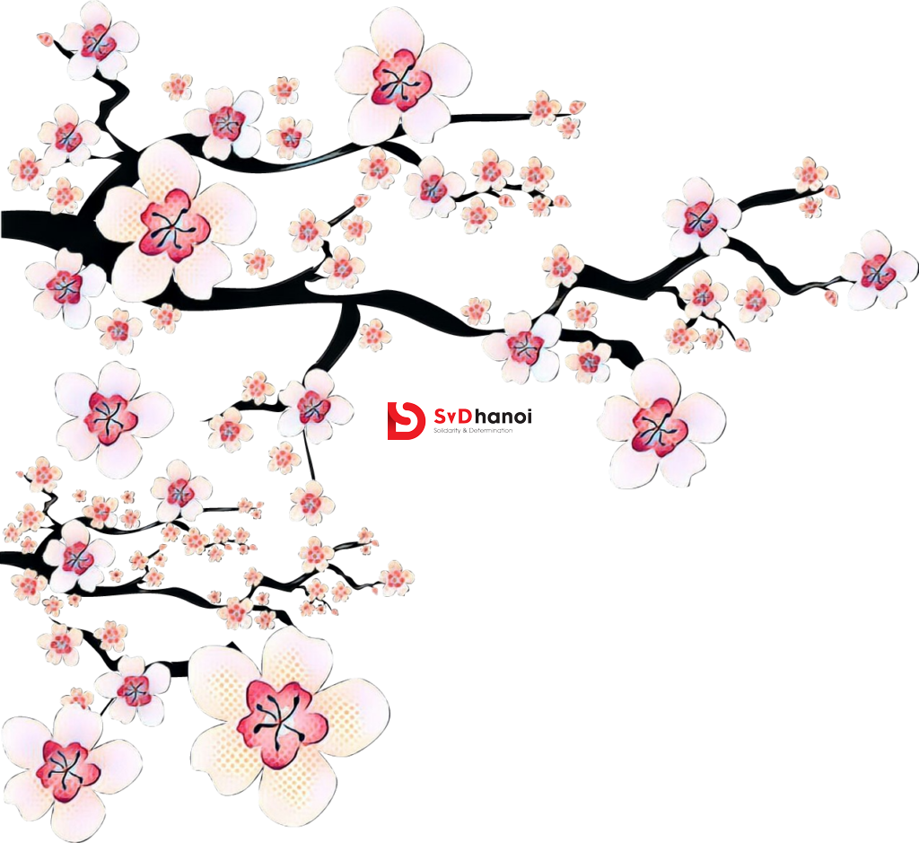 Link tải 100+ ảnh Hoa đào vector, PSD, PNG mới nhất miễn phí